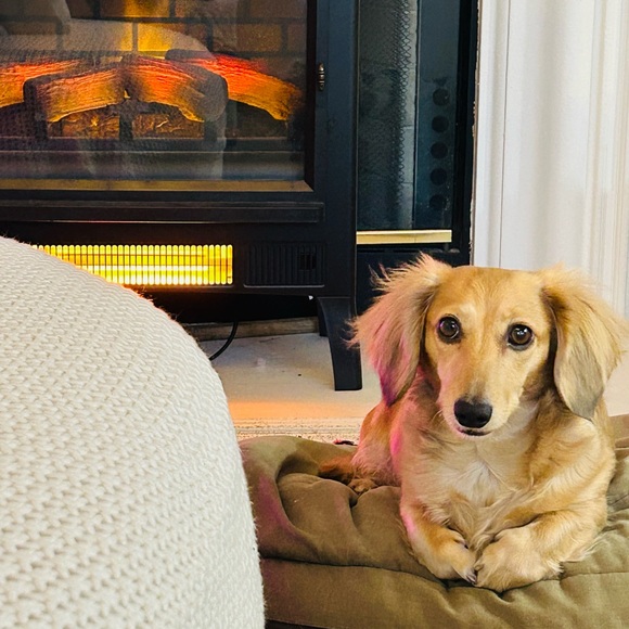 Meet your Posher, Brandi🌴 - Picture 3 of 4